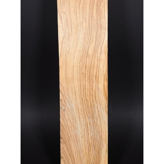 Olive Fingerboard | Electric guitar