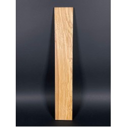 Olive Fingerboard | Electric guitar