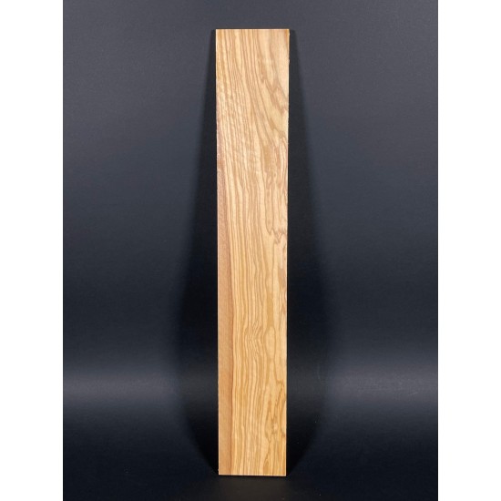 Olive Fingerboard | Electric guitar