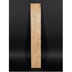 Olive Fingerboard | Electric guitar