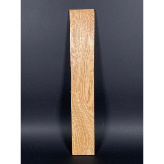 Olive Fingerboard | Electric guitar