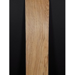 Olive Fingerboard | Electric guitar