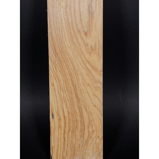 Olive Fingerboard | Electric guitar