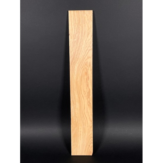 Olive Fingerboard | Electric guitar