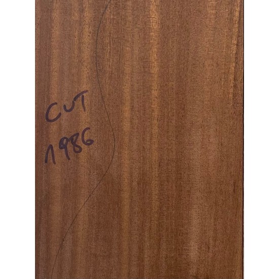 Acajou | Guitar Back