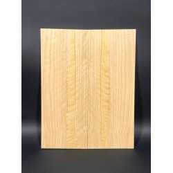 Cypress | Guitar Back
