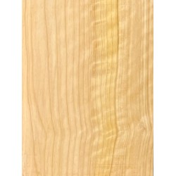 Cypress | Guitar Back