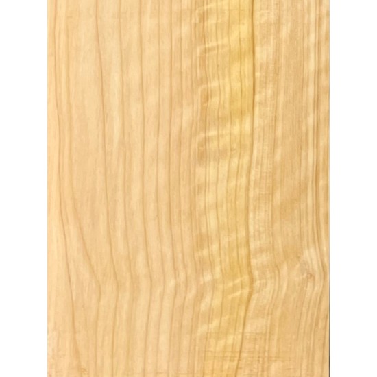 Cypress | Guitar Back
