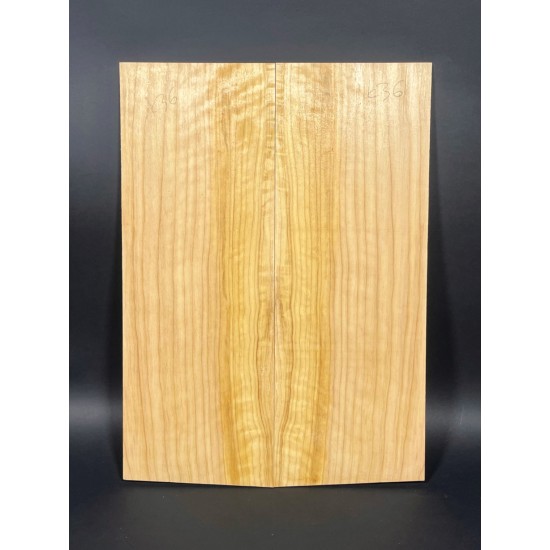 Cypress | Guitar Back