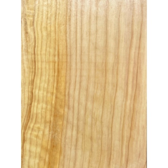 Cypress | Guitar Back