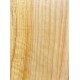 Cypress | Guitar Back