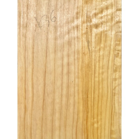 Cypress | Guitar Back