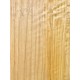 Cypress | Guitar Back