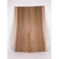 Elm | Guitar Back