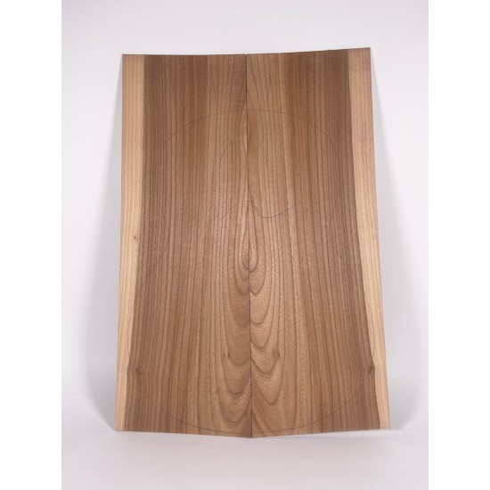 Elm | Guitar Back