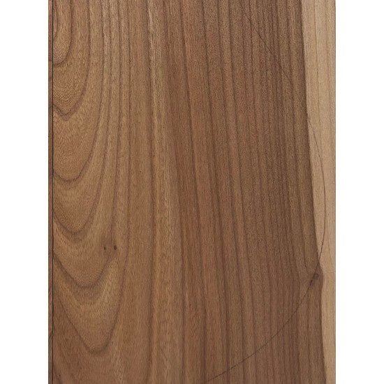 Elm | Guitar Back