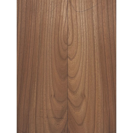 Elm | Guitar Back
