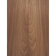 Elm | Guitar Back