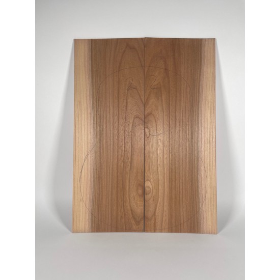 Elm | Guitar Back