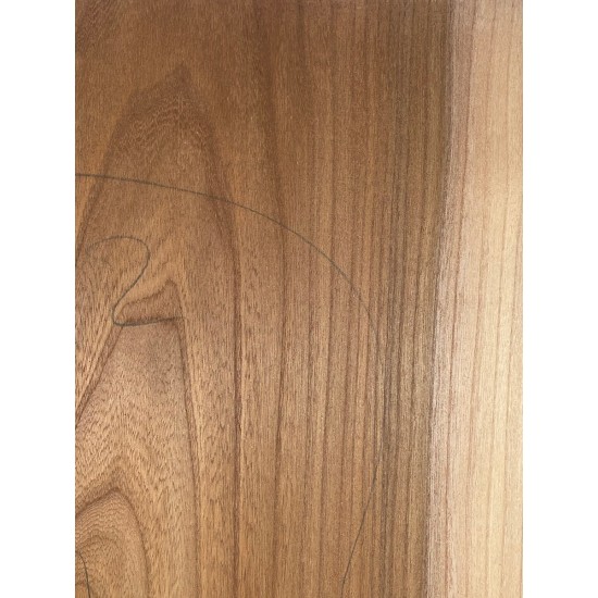 Elm | Guitar Back
