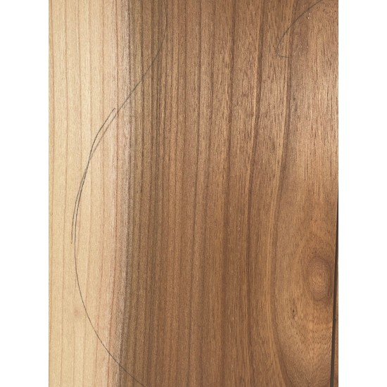 Elm | Guitar Back