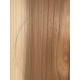 Elm | Guitar Back