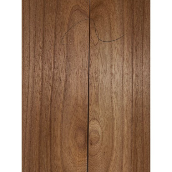 Elm | Guitar Back