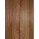 Elm | Guitar Back