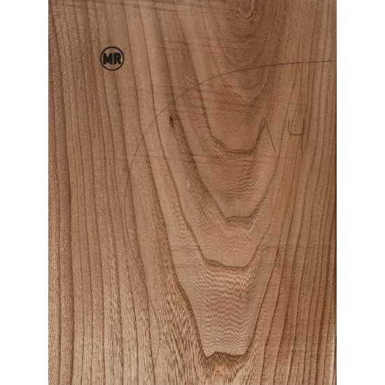 Elm | Guitar Back