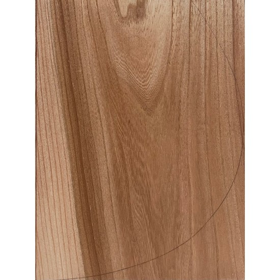 Elm | Guitar Back