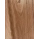 Elm | Guitar Back