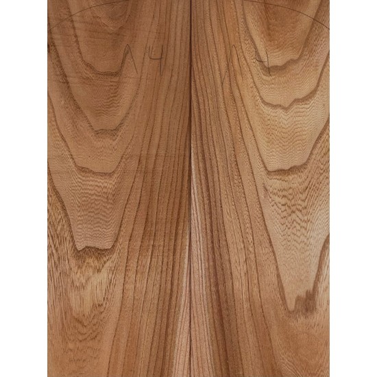 Elm | Guitar Back