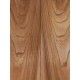 Elm | Guitar Back
