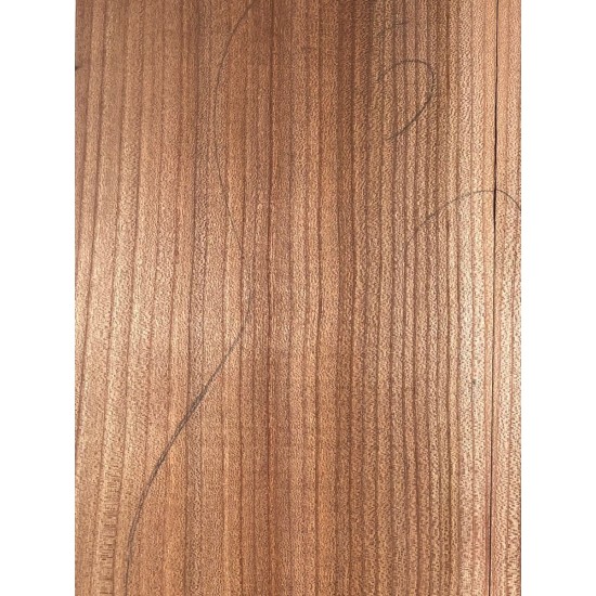 Elm | Guitar Back