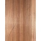 Elm | Guitar Back