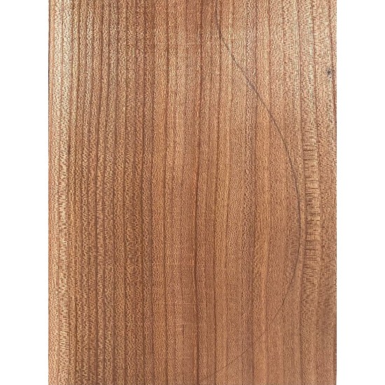 Elm | Guitar Back