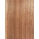 Elm | Guitar Back
