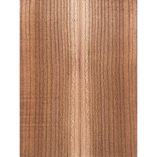 Elm | Guitar Back