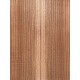 Elm | Guitar Back