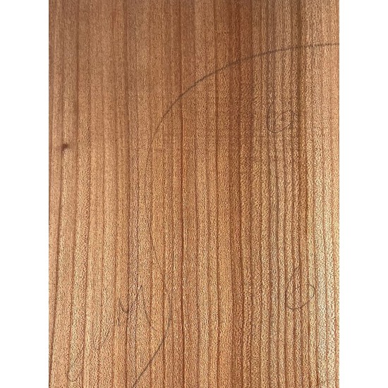Elm | Guitar Back