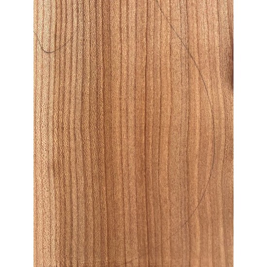 Elm | Guitar Back