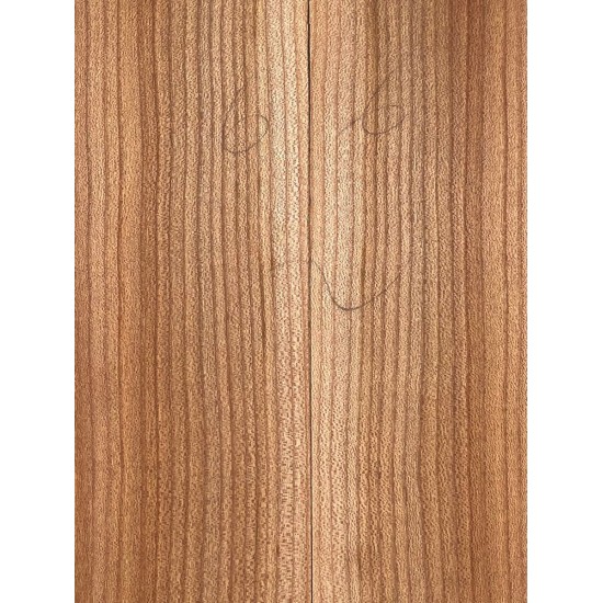 Elm | Guitar Back