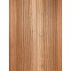 Elm | Guitar Back
