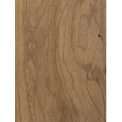 Olive Torrefied | Guitar Back