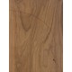 Olive Torrefied | Guitar Back
