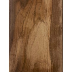Olive Torrefied | Guitar Back