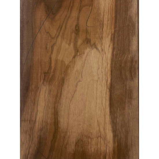 Olive Torrefied | Guitar Back