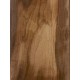 Olive Torrefied | Guitar Back
