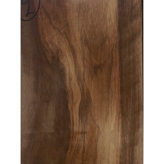 Olive Torrefied | Guitar Back