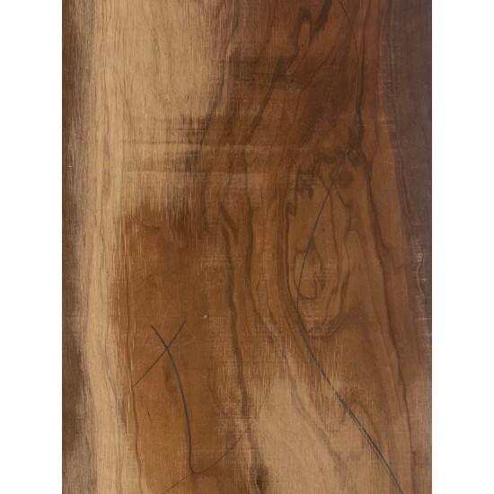 Olive Torrefied | Guitar Back